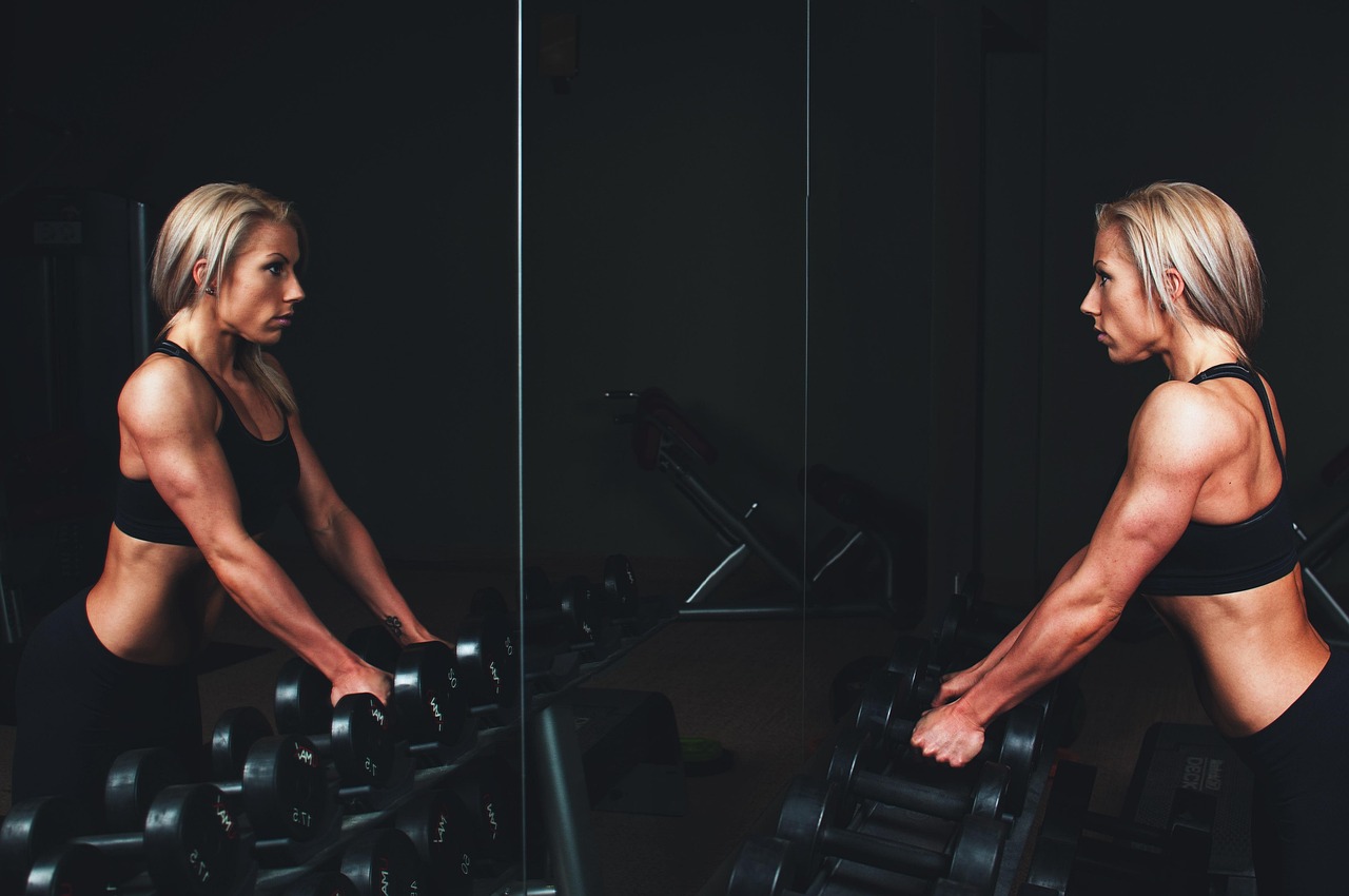 Zenithfit Fitness Club collection